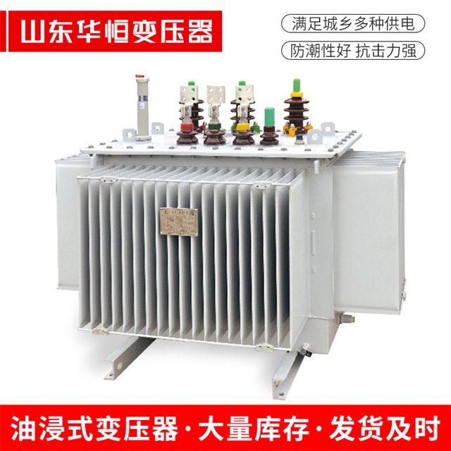 S13-10000/35平阳平阳平阳电力变压器
